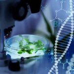 Nuevas Técnicas Genómicas en cultivos